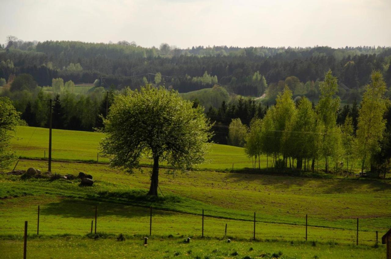 Na Wzgorzu - Rospuda - Z Sauna